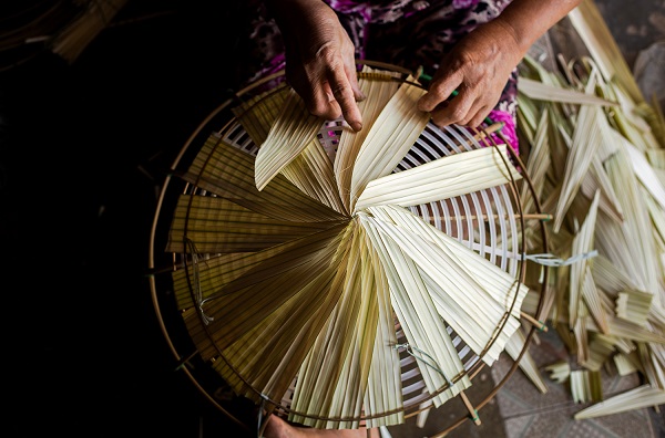 an giang